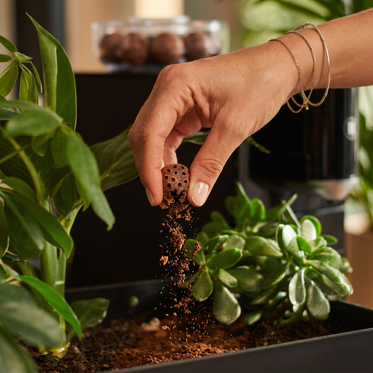 Kompostovatelná cesta k dokonalému espressu ☕🌱